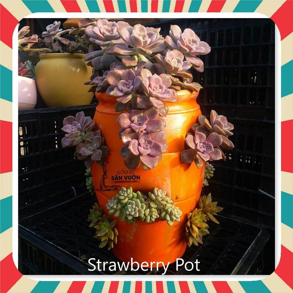 Chậu gốm đất nung hình túi đứng Strawberry Pot - chậu trồng cây, gốm sứ sân vườn Bình Dương