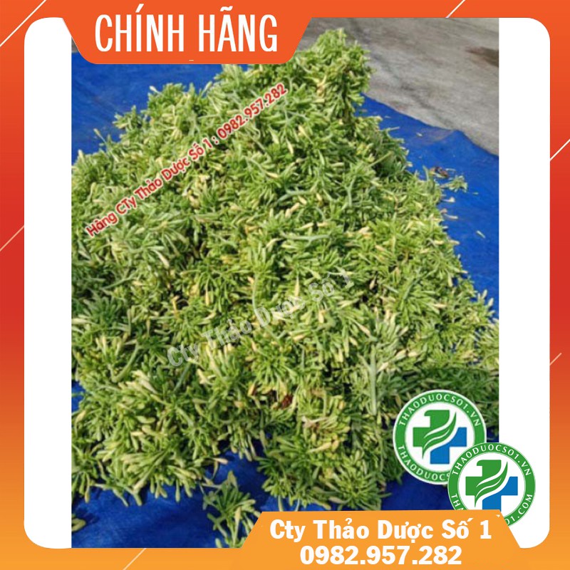 HOA ĐU ĐỦ ĐỰC_100Gram [Hàng công ty thảo dược số 1 } - TDSO1