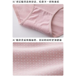 HÈ Quần chip cotton >> 💯 ་ new , ) !