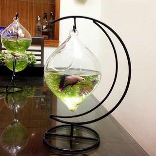 Bể cá mini - Cung Trăng, Bình giọt nước