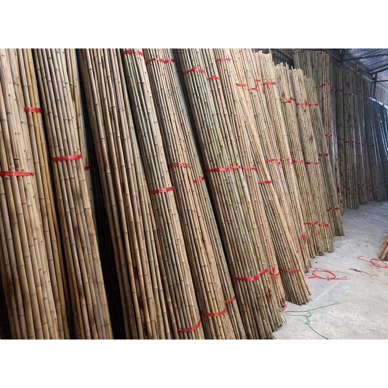 Tre trúc cán cờ, tre trúc banner quảng cáo, tre trúc cán tranh 2m 2.5m 3m