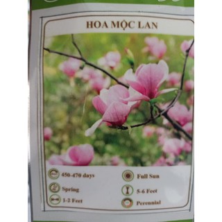 Hạt giống hoa mộc lan