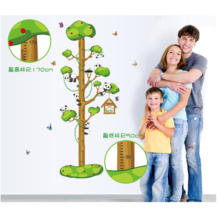 Decal trang trí thước đo thân Cây Xanh nhiều nhánh và Gấu trúc tinh nghịch
