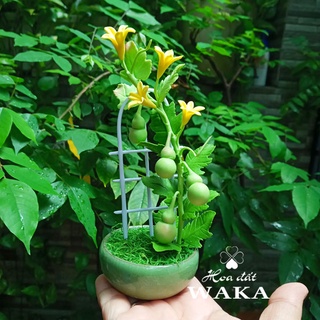 Hoa Đất Sét Mini- Bầu Hồ Lô Mini 15cm