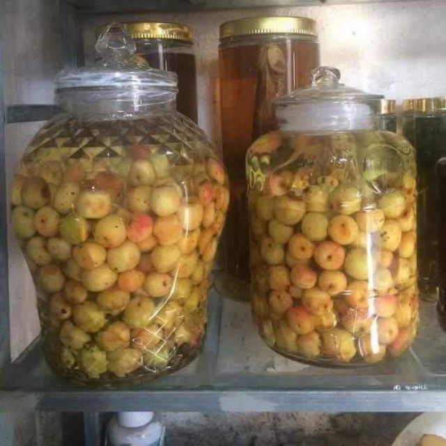 Táo mèo tây bắc