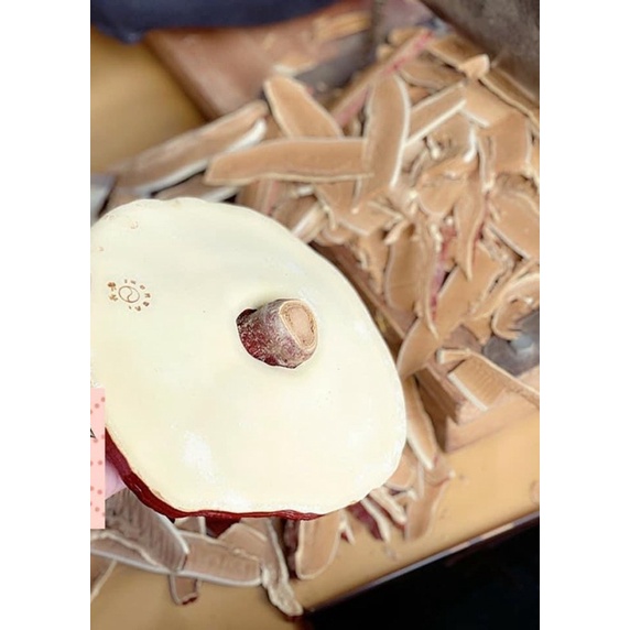 NẤM LINH CHI VÀNG CHANH HÀN QUỐC - TÚI 1KG