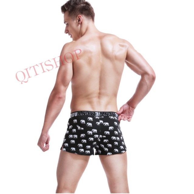 Quần Đùi Nam Lưng Xì Mặc Nhà In Họa Tiết - Chất Cotton Mịn Mát