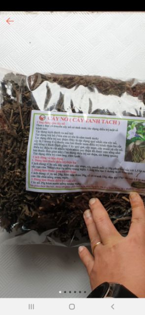 1 kg cây nổ