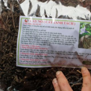 1 kg cây nổ