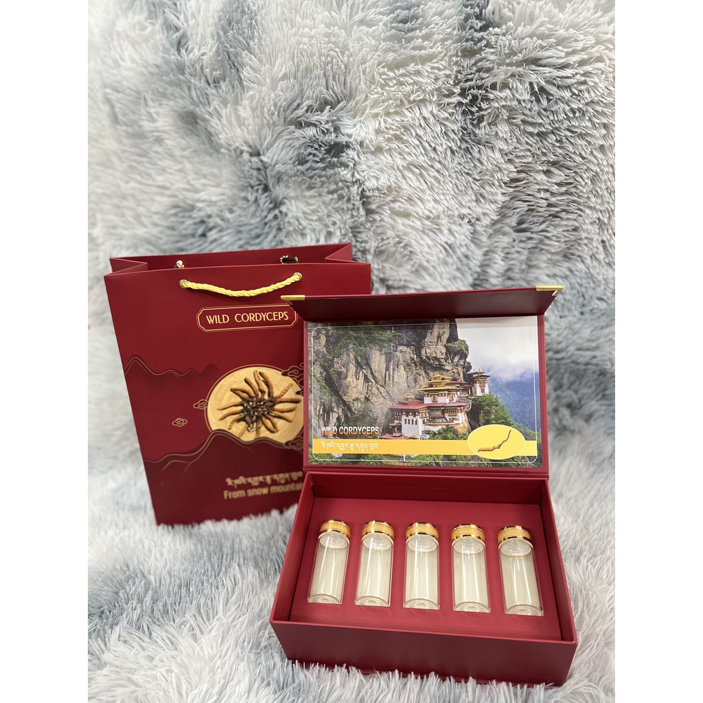 SET TÚI VÀ HỘP ĐỰNG ĐÔNG TRÙNG HẠ THẢO