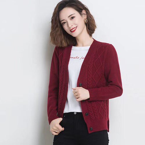 [Siêu rẻ] Áo len nữ hàng Quảng Châu cao cấp V01
