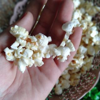 { 1KG } BẮP MỸ BƯỚM CHUẨN LÀM BẮP RANG BƠ