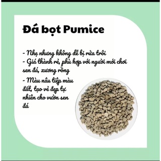 Đá pumice [1kg] dùng để trộn đất trồng sen đá hoặc làm giá thể trồng lan