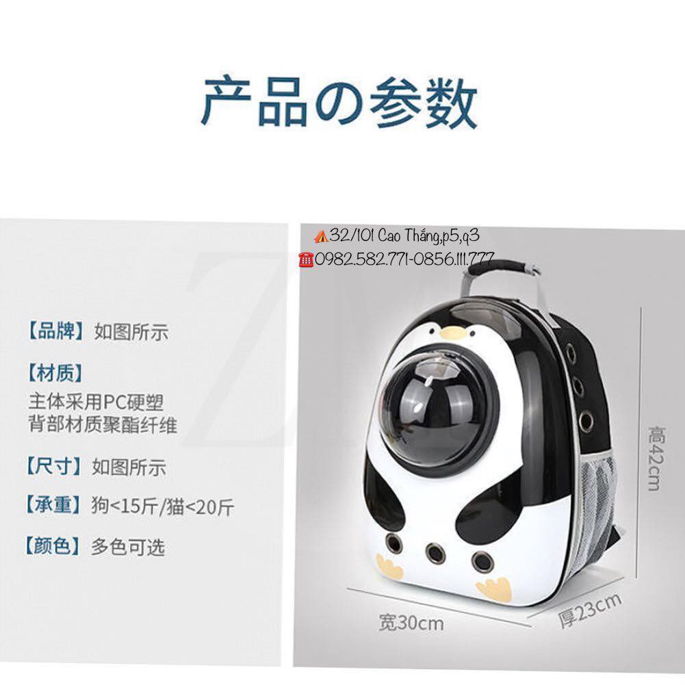 BALO PHI HÀNH GIA CHO CHÓ MÈO