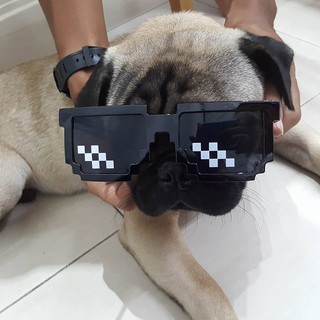 Mắt kính nhựa Thug Life