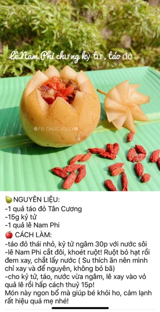 Kỷ tử hữu cơ cho bé