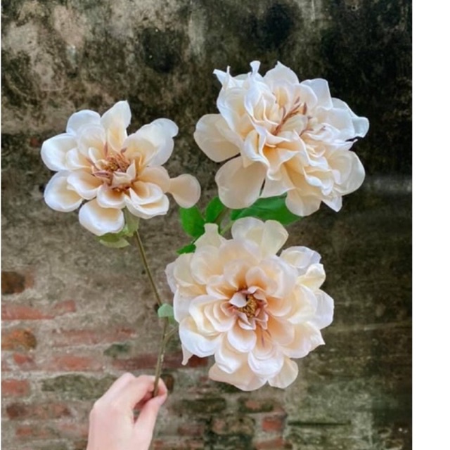 Hoa Cúc Thược Dược lụa nhập khẩu cành 3 bông nở dài 70 cm cao cấp decor siêu đẹp (shop có 2 loại)