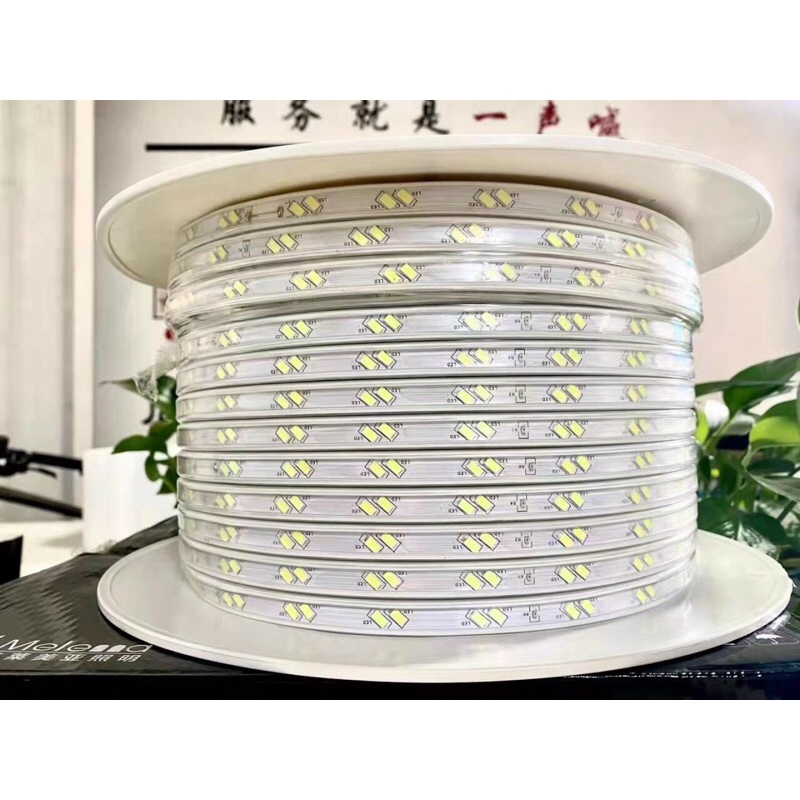 Giá cuộn 100m dây led hắt 2 hàng chéo