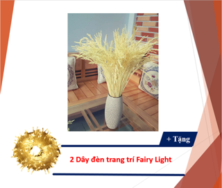 Hoa Lúa Kiểng Khô Trang Trí Tết 2018 + Tặng 2 dây đèn Fairy Light siêu sáng