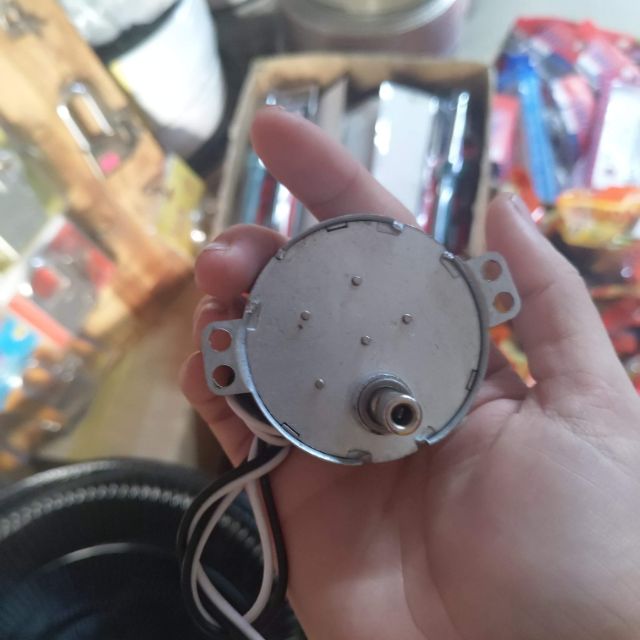 Motor hào quang gai trong