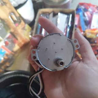Motor hào quang gai trong