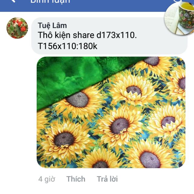 Set thô kiện + da cá 4c Heo Ngoc