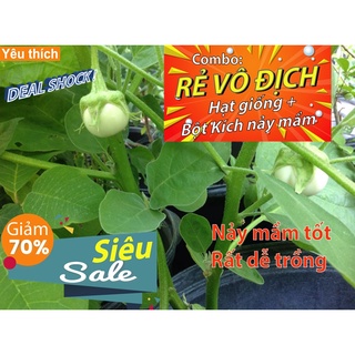Gói 30 hạt giống cà pháo xanh - [Combo rẻ vô địch HẠT GIỐNG + BỘT KÍCH NẢY MẦM]