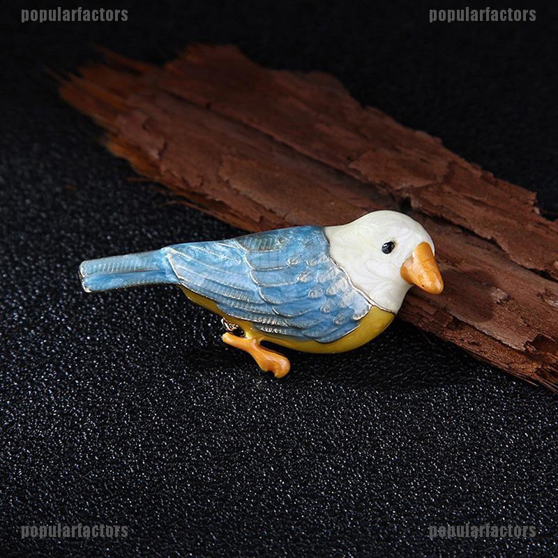 Chú Chim Độc Đáo