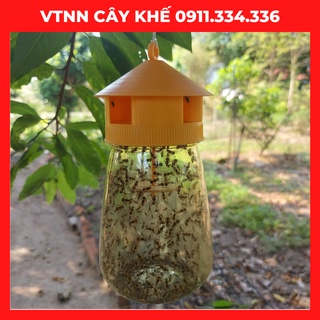 Ruồi vàng - bẫy ruồi vàng có thuốc ruồi vàng và thuốc diệt ruồi vàng