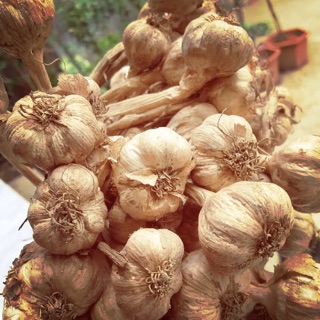 tỏi khô kinh môn 500g