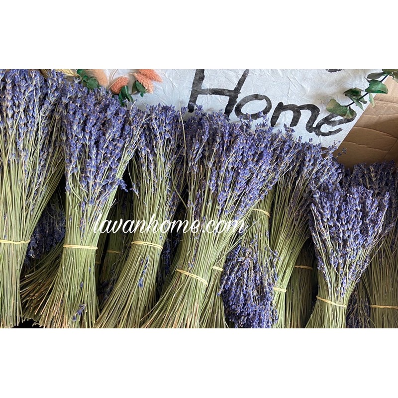 Hoa khô lavender (hoa oải hương) Pháp - Cam kết hoa đúng chất lượng