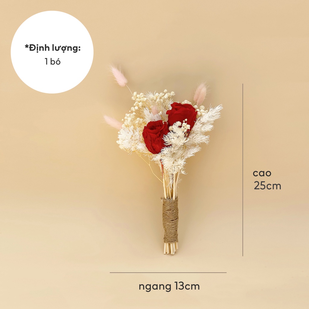 Hoa Khô Happy Flower - Combo hoa hồng bất tử sang trọng cắm bình trang trí nhà cửa, phòng ngủ