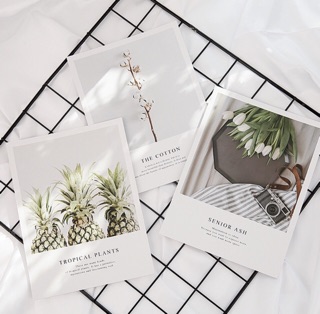 Bìa tạp chí decor chụp ảnh thời trang