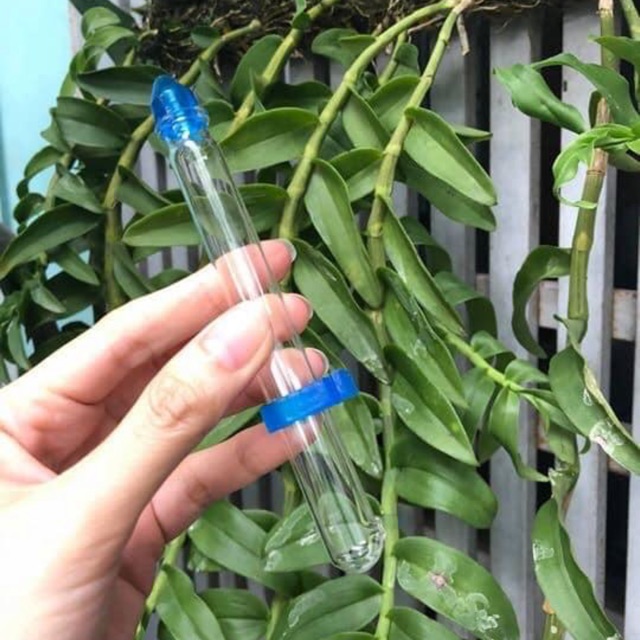 Cóng nước khuyên tàu