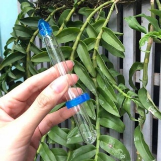 Cóng nước khuyên tàu