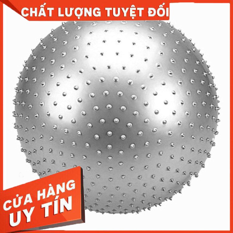 Bóng Tập Gym Có Gai 65cm (900g) - Bóng tập thể dục, yoga và fitness chất lượng cao