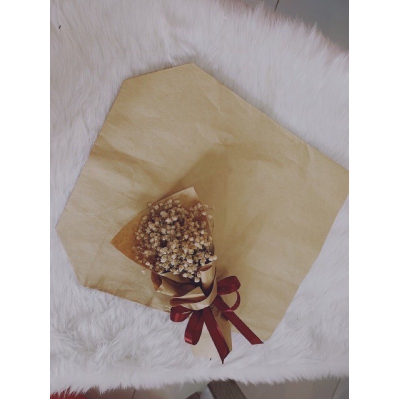 100 TG nâu size 30 x 40 cm đựng vừa quần áo, gói rau củ