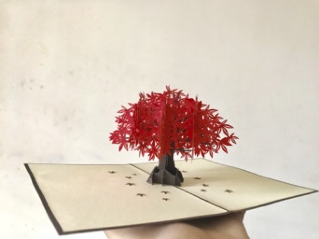 Thiệp 3d cây maple