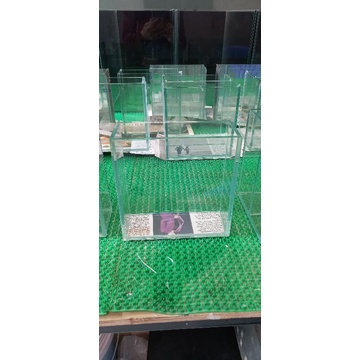 Bể Show cá Guppy, betta