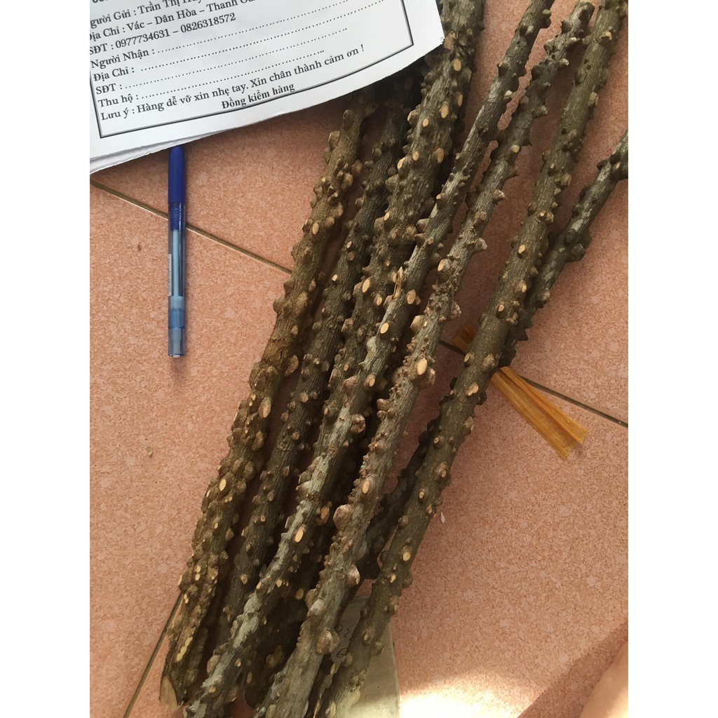 Cầu đứng Minibica cầu gạo thẳng cao cấp giá rẻ cho các loại chim PK138