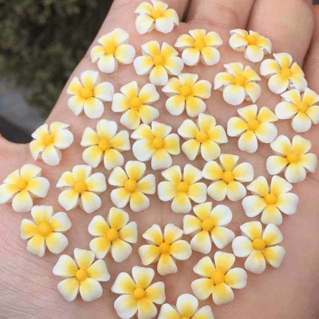 hoa bột nail- hoa sứ