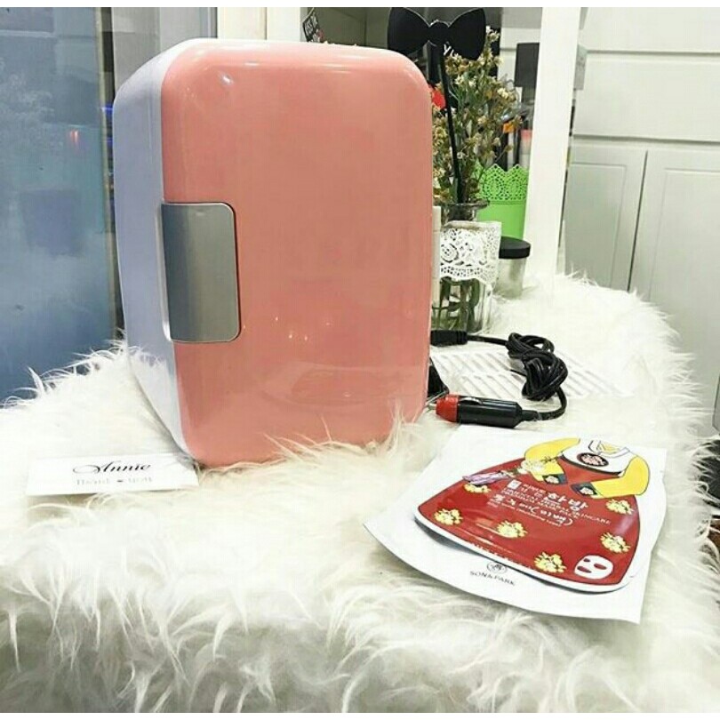 Tủ Lạnh Mini 4L Chuyên Dụng Dùng Trên Ô TÔ