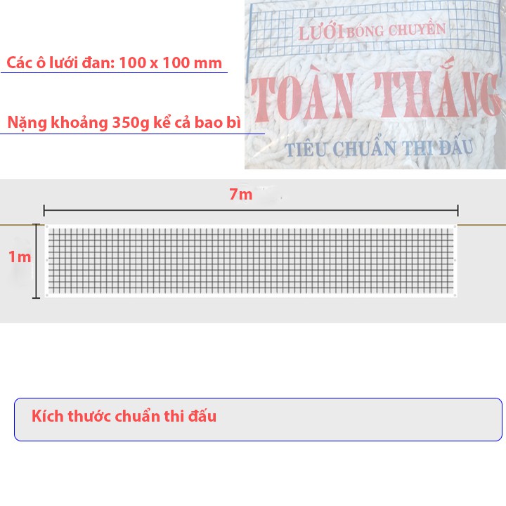 Lưới bóng chuyền Toàn Thắng treo bằng dây cước LBC35