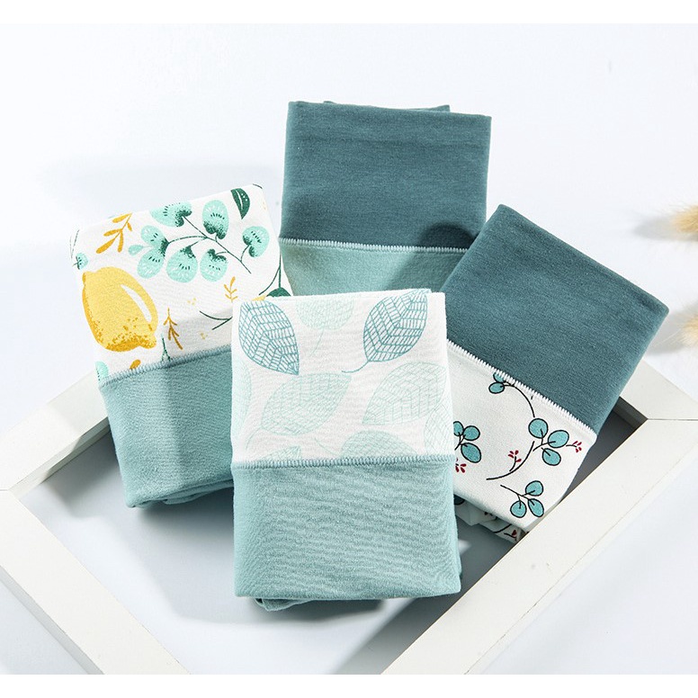 Set 5 Quần Lót Nữ Cotton Cạp Cao Combo Đủ Set Đủ Màu