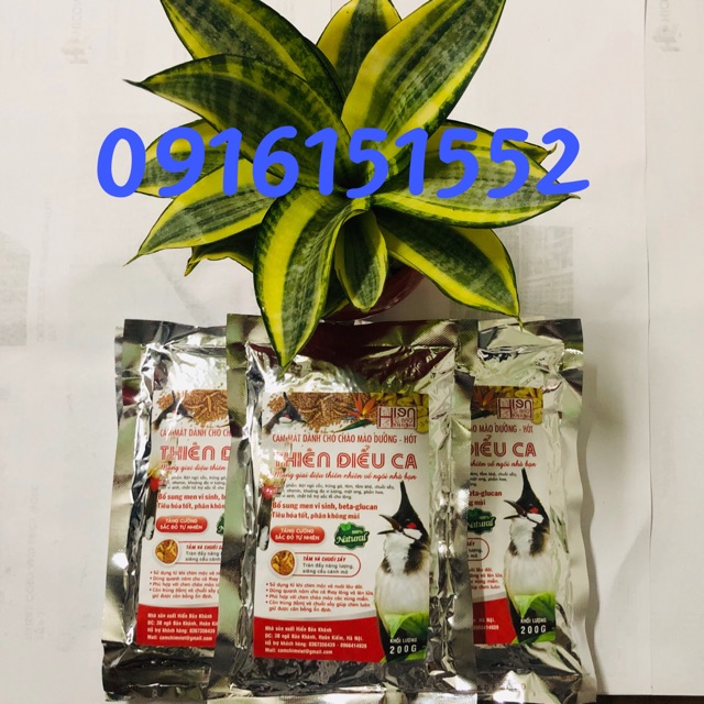 Thức ăn cho chim chào mào TĐC