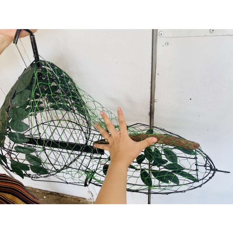 LỒNG, LỤP BẪY CHIM CU GÁY KẾT LÁ