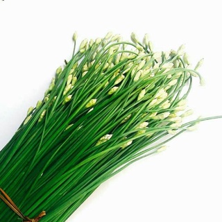 hạt giống hẹ ăn bông 2gr