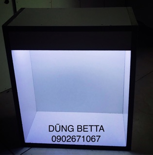 Dụng cụ show cá có Đèn led