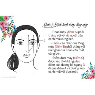 Cung chỉ đo vẽ lông mày