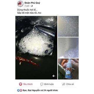 Flare - Dung dịch dưỡng và ép cá Betta